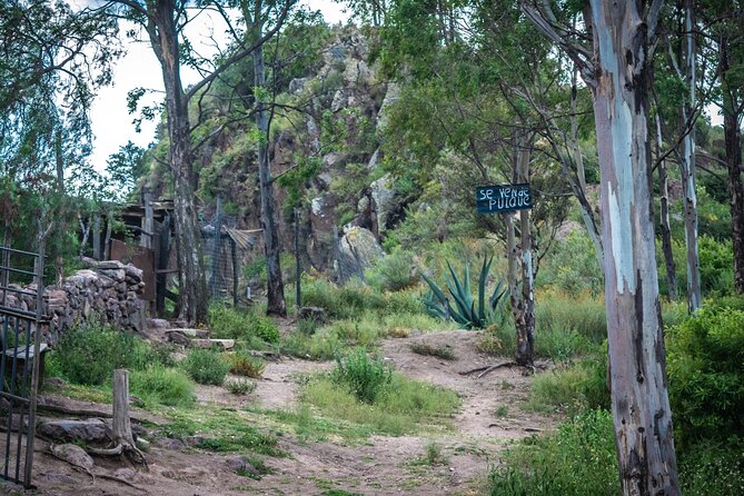 Unique cablecar experience, pulque tasting &unbeatable views - The short hike that needs proper shoes