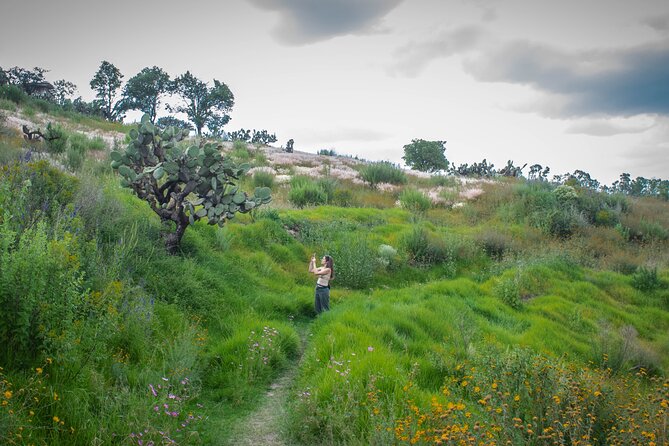 Unique cablecar experience, pulque tasting &unbeatable views - What $35 buys you