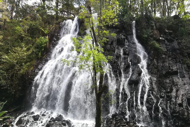 Valle de Bravo: Private & Small group tour from Mexico City - What the $139.51 price really buys you