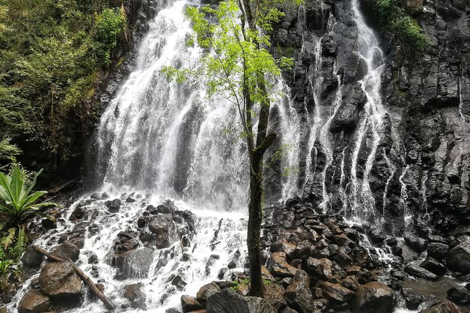 Valle de Bravo: Private & Small group tour from Mexico City - Timing, transport, and what to bring