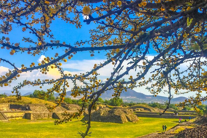 VIP Teotihuacan & Guadalupe Shrine Tour: A Journey Through Time - Climbing the Pyramid of the Sun