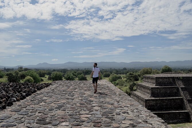 VIP Teotihuacan & Guadalupe Shrine Tour: A Journey Through Time - What the $445 price includes