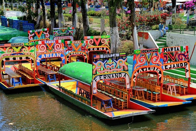 Visit to Xochimilco, Coyoacán and Ciudad Universitaria - Guide quality and English support