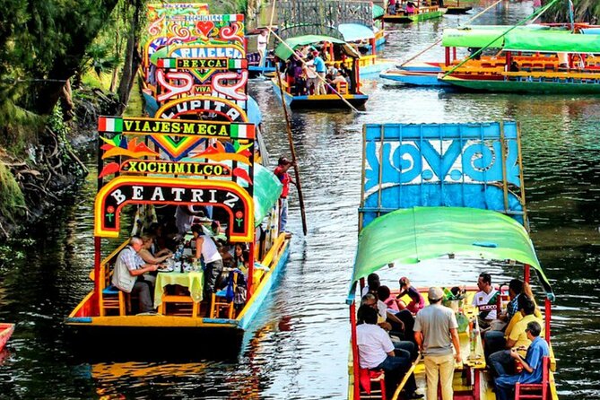 Visit to Xochimilco, Coyoacán and Ciudad Universitaria - Who will enjoy this day most