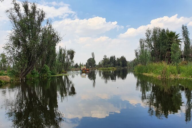 Xochimilco Barco Fiesta Tentacion 18+ with Open Bar and Tacos - Who should book this Xochimilco party boat