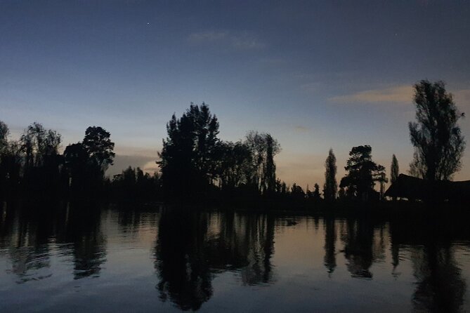 Xochimilco Barco Fiesta Tentacion 18+ with Open Bar and Tacos - Two hours among Xochimilco’s floating gardens