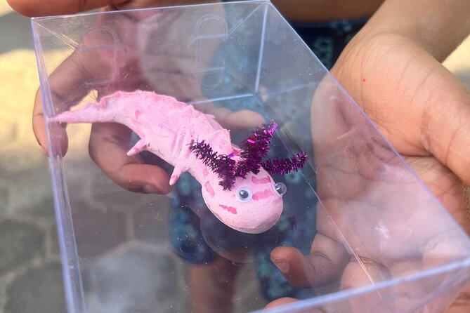 Xochimilco Boat Ride with Kids - Meeting the axolotls at the community aquarium