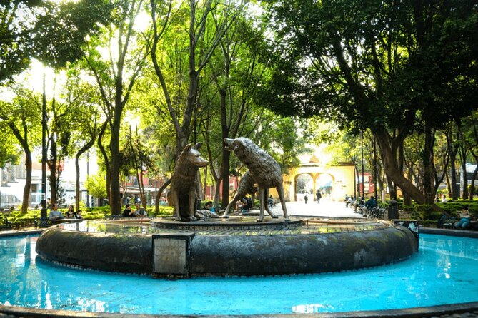 Xochimilco, Casa de Frida Kahlo, Coyoacán and UNAM - What the Frida Kahlo stop really includes