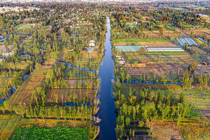 Xochimilco, Coyoacan and Frida Kahlo Museum Tour - UNAM, murals, and Mexico’s modern public university