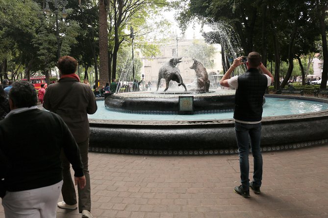 Xochimilco, Coyoacan and Frida Kahlo with Optional Lunch - UNAM murals and the Olympic Stadium