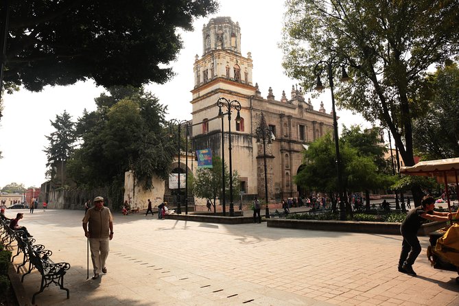 Xochimilco, Coyoacan and Frida Kahlo with Optional Lunch - Transport, guides and group size