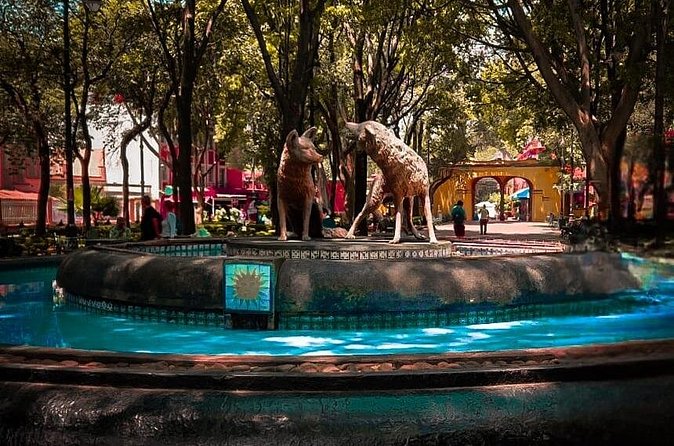 Xochimilco, Coyoacan and more tours - Guides, language, and the pace of the day