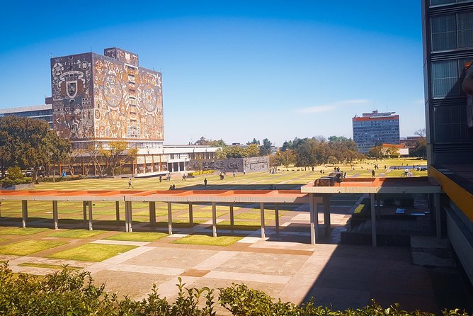 Xochimilco, Coyoacan, Aztec Stadium & UNAM - The real schedule: allow for pickup delays
