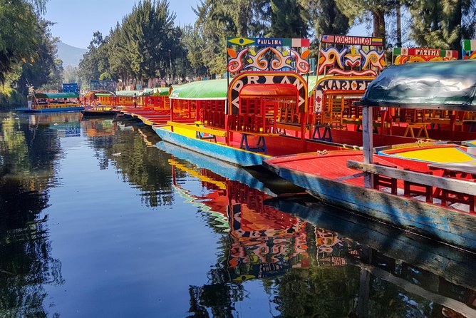 Xochimilco, Coyoacan, Aztec Stadium & UNAM - Aztec Stadium, a photo stop with changing access