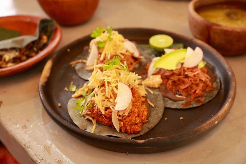 Xochimilco + Coyoacán Combo Full-Day Tour - Who should book this tour