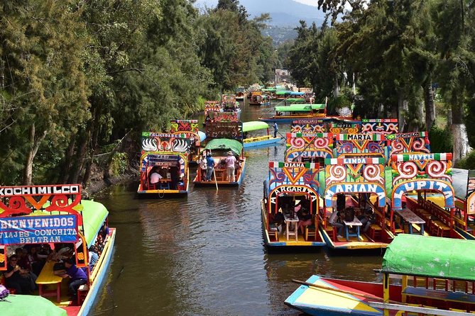 XOCHIMILCO & COYOACAN (Private) - Is $129 a fair price?