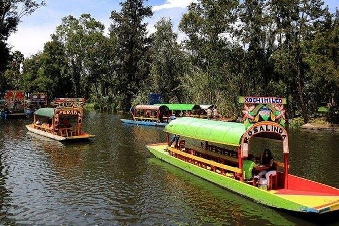 Xochimilco - Coyoacan Tour - What the private vehicle adds to the day