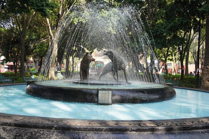Xochimilco & Coyoacan with Frida Kahlo Private Tour - Time in the vehicle and the real pace of the day