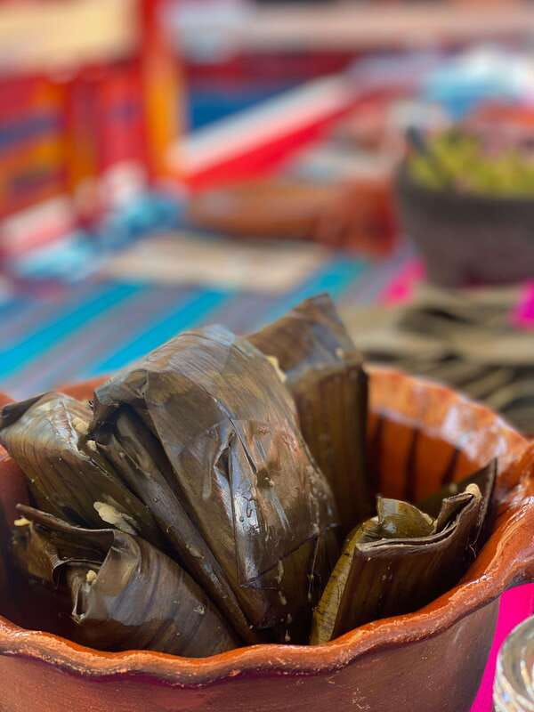 Xochimilco: Eco Tour With Food - The chinampa visit and its old farming system