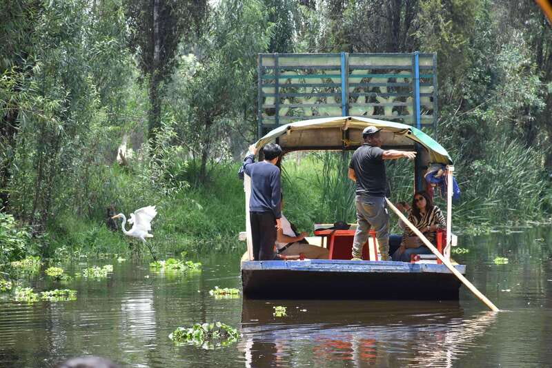 Xochimilco Ecological Tour – Away From the Crowds (3 Hours) - Key details that shape the experience