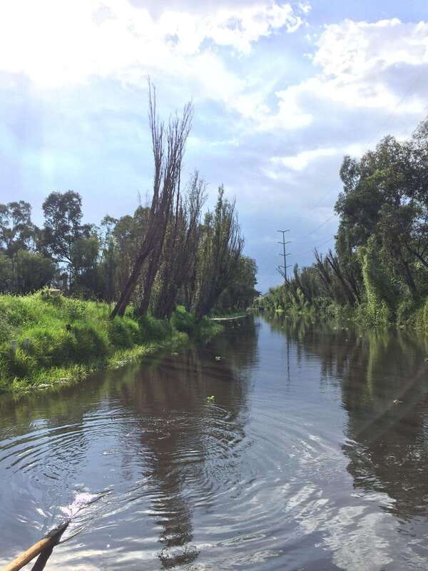 Xochimilco Ecological Tour – Away From the Crowds (3 Hours) - Who will enjoy it most