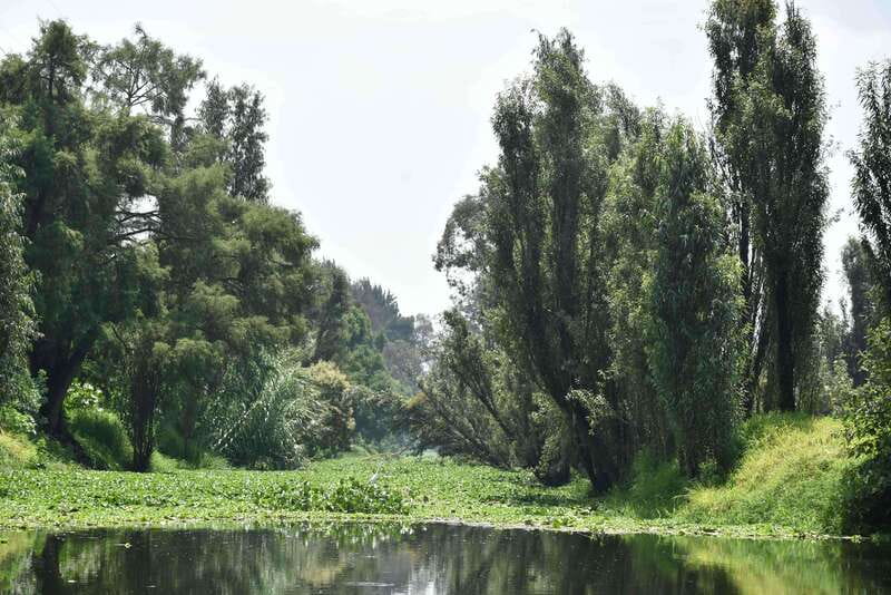 Xochimilco Ecological Tour – Away From the Crowds (3 Hours) - Why this side of Xochimilco is worth your afternoon