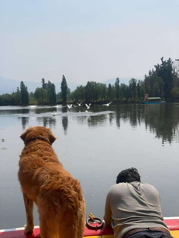 Xochimilco Ecological Tour – Away From the Crowds (3 Hours) - What the guides add