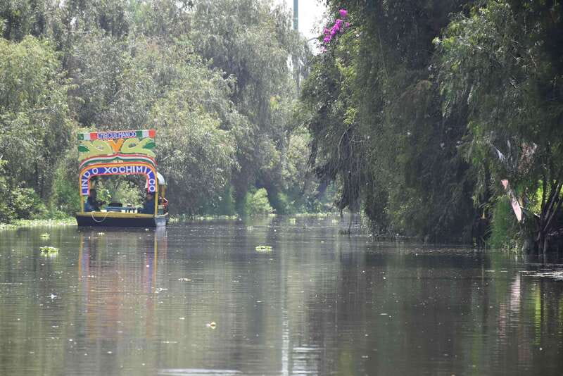 Xochimilco Ecological Tour – Away From the Crowds (3 Hours) - Meeting at Cuemanco Pier