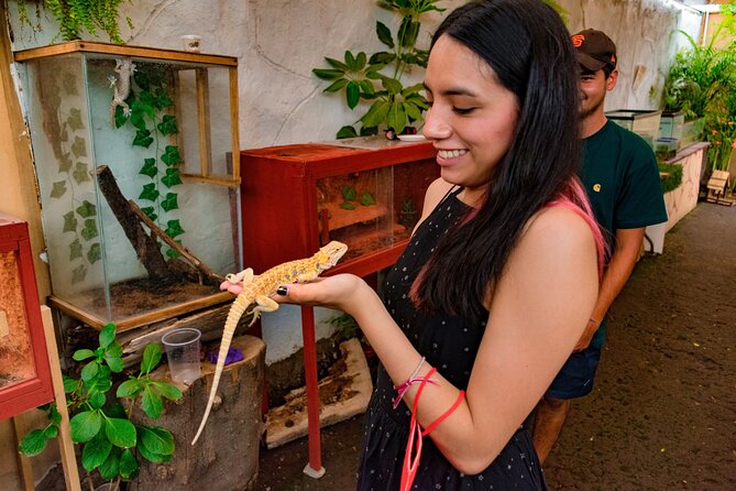 Xochimilco Floating Adventure - Small Groups - Why Xochimilco Matters to Mexico City