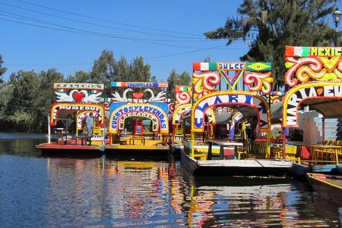 Xochimilco + Museo Anahuacalli (add-on) PET-FRIENDLY - Key points to know before booking
