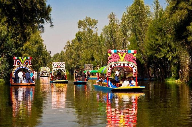 Xochimilco + Museo Anahuacalli (add-on) PET-FRIENDLY - Booking, timing, and cancellation details
