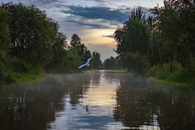 Xochimilco Sunrise from Mexico - What makes this Xochimilco morning different