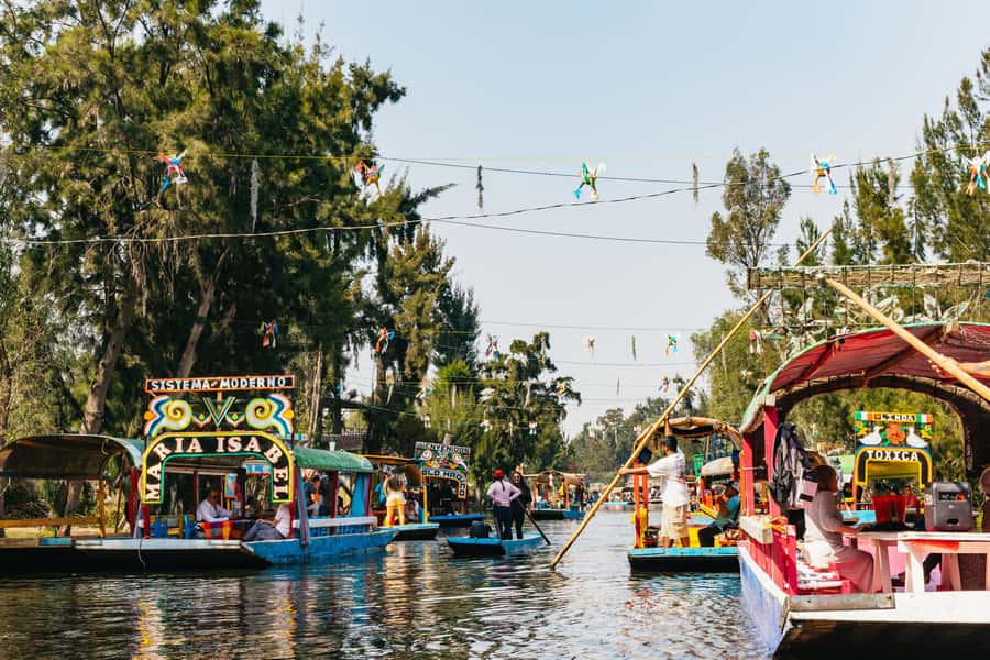 Xochimilco: traditional boat tour, culture, and fun. - Finding the purple arch at Las Flores Nativitas